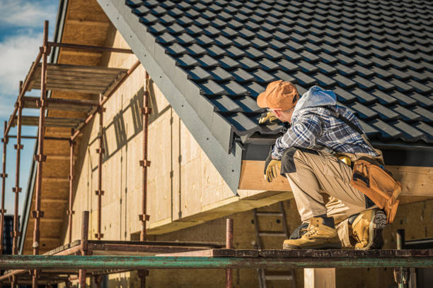 Best Roof Insulation Installation  in Merian, ID