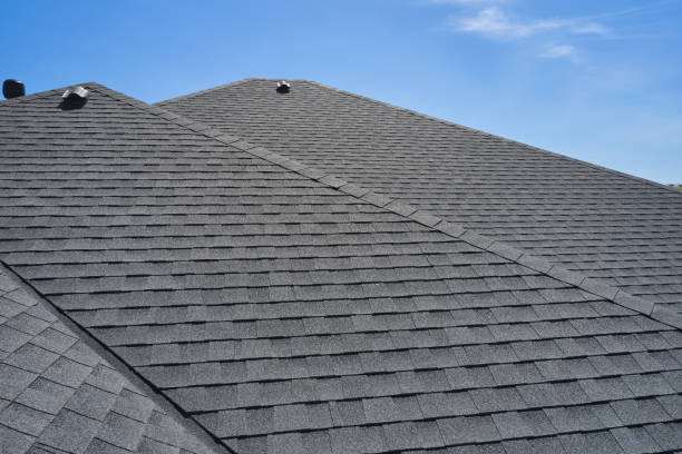 Best Roof Leak Repair  in Merian, ID