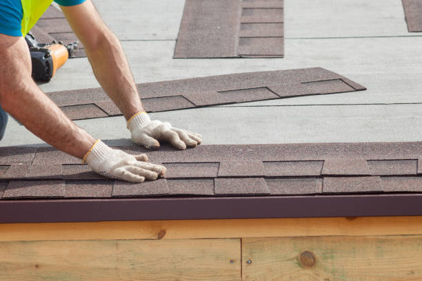 Best Roof Moss and Algae Removal  in Merian, ID