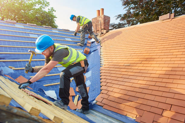 Best Metal Roofing Installation  in Merian, ID